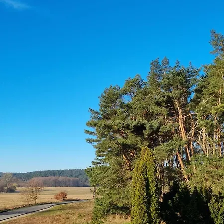 Koehler Am Walde , Urlaub Mit Hund